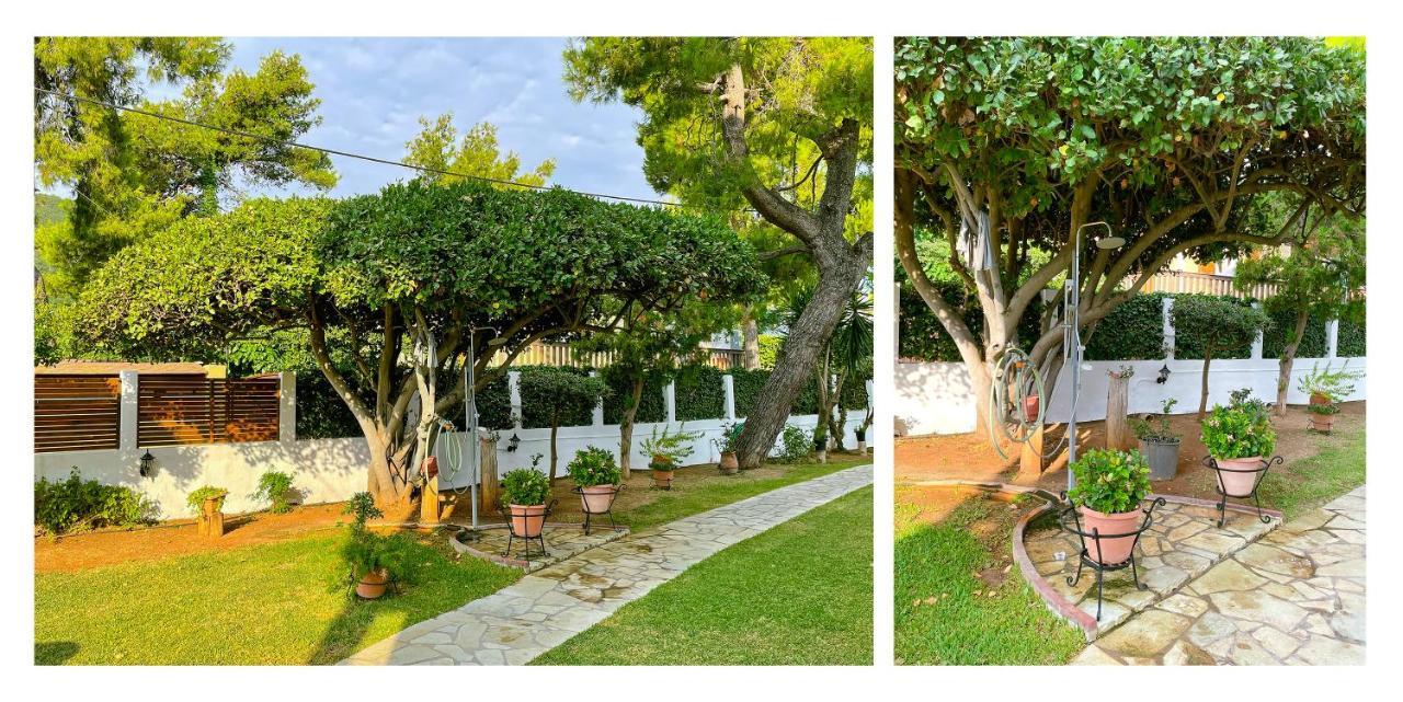 شقة Malakassis House اجيوس ايوانيس المظهر الخارجي الصورة